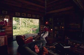 Tiger Lodge