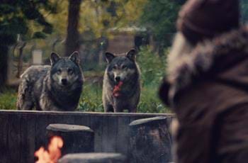 Wolf Lodge