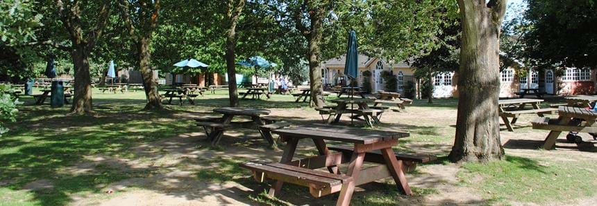Picnic area at Howletts Wild Animal Park in Kent