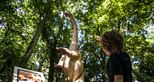 Apatosaurus at Dinosaur Forest, Port Lympne Hotel & Reserve in Kent