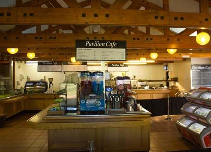Pavilion Restaurant at Howletts Wild Animal Park in Kent
