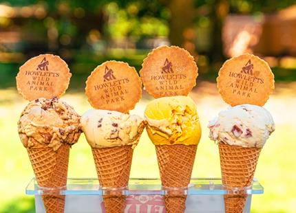 Ice cream treats at Howletts Wild Animal Park, near Canterbury in Kent