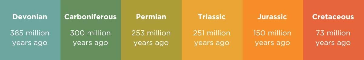 Devonian - 385 million yrs ago, Carboniferous - 300 million yrs ago, Permian - 253 million yrs ago, Triassic - 251 million years ago, Jurassic - 150 million yrs ago, Cretaceous - 73 million yrs ago.