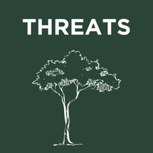 Threats.png